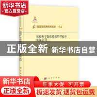 正版 环境科学数值模拟的理论和实际应用 袁益让,芮洪兴,梁栋著