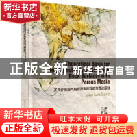 正版 多孔介质油气藏岩石表面双疏性理论基础 Jiang Gancheng[著]