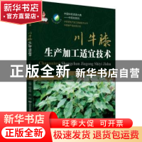 正版 川牛膝生产加工适宜技术 杨玉霞,林娟主编 中国医药科技出