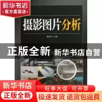 正版 摄影图片分析 董河东主编 中国电力出版社 9787512340138 书