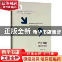 正版 产业创新理论与实践 芮明杰等著 上海财经大学出版社 978756