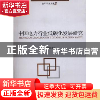 正版 中国电力行业低碳化发展研究 赵洱岽著 中国言实出版社 9787