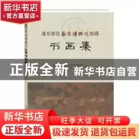 正版 浦东新区南汇博物馆馆藏:书画集 上海市浦东新区文物保护管