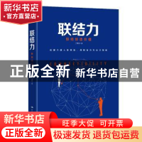 正版 联结力:联结创造价值 丁伟明 中国人民大学出版社 978730025