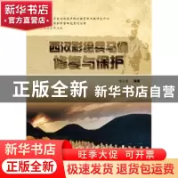 正版 西汉彩绘兵马俑修复与保护 李玉虎编著 科学出版社 97870303