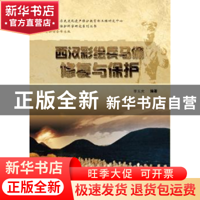 正版 西汉彩绘兵马俑修复与保护 李玉虎编著 科学出版社 97870303