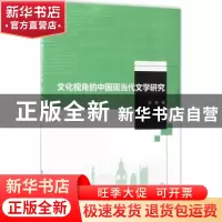 正版 文化视角的中国现当代文学研究 陈艳著 北京理工大学出版社