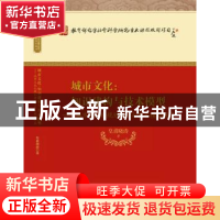 正版 城市文化:知识建构与技术模型:城市文化的规划理论与技术模