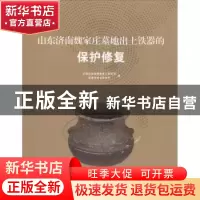 正版 山东济南魏家庄墓地出土铁器的保护修复 中国社会科学院考古