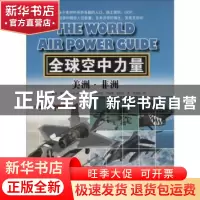 正版 全球空中力量:美洲·非洲 (英)戴维·雷格(David Wragg)著 中