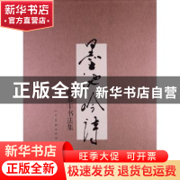 正版 墨池吟诗:翟泰丰书法集 翟泰丰 人民美术出版社 9787102062