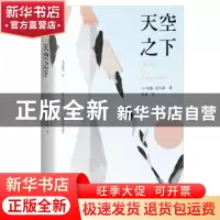 正版 天空之下 [美]珍迪·尼尔森 著,记忆坊出品,有容书邦 发行