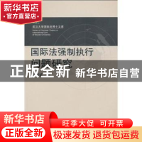 正版 国际法强制执行问题研究 温树斌 武汉大学出版社 9787307078