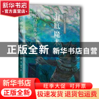 正版 海底魔术师 (日)江户川乱步著 人民文学出版社 978702012761