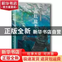 正版 海底魔术师 (日)江户川乱步著 人民文学出版社 978702012761