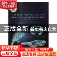 正版 树鼩脑立体定位图谱 周江宁,倪荣军 科学出版社 9787030492