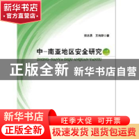 正版 中-南亚地区安全研究(三) 胡志勇,王鸣野 知识产权出版社 9