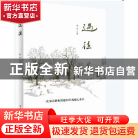 正版 过往:一位母语教师跨越20年的随心杂记 杜严著 河南人民出