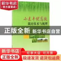 正版 小麦丰优高效栽培技术与机理 李向东//王绍中 中国农业出版