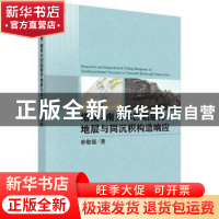 正版 塔南-南贝尔凹陷层序与同沉积构造响应 单敬福 科学出版社 9