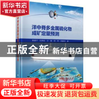 正版 洋中脊多金属硫化物成矿定量预测 陈建平[等]著 科学出版社