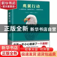 正版 鹰翼行动 (英)肯·福莱特 (Ken Follett) 著,汪洋 译,读