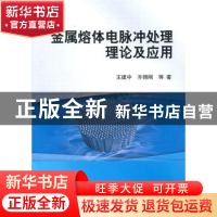 正版 金属熔体电脉冲处理理论及应用 王建中,齐锦刚等著 科学出