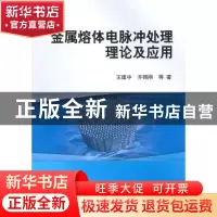 正版 金属熔体电脉冲处理理论及应用 王建中,齐锦刚等著 科学出