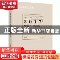 正版 2017年中篇小说选粹 杨庆祥 北岳文艺出版社 9787537855563