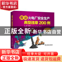 正版 图说火电厂安全生产典型违章200例(彩图版) 孙海峰主编 中国