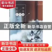 正版 恰到好处的幸福 晓霞编著 煤炭工业出版社 9787502064679 书