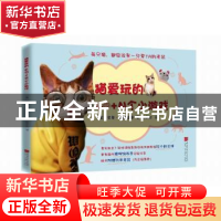 正版 猫爱玩的40+N个小游戏 (美)尼基·穆斯塔基著 中国画报出版社