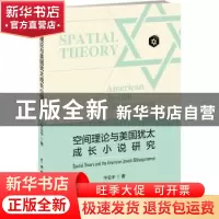 正版 空间理论与美国犹太成长小说研究 宁云中著 中国戏剧出版社