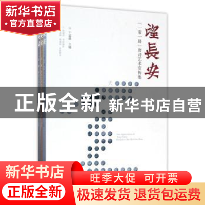 正版 望长安:“一带一路”唐诗艺术赏析集(全3册) 于孟晨 三秦