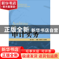 正版 审计实务 胡中艾,朱光明主编 中国人民大学出版社 97873002
