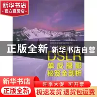 正版 DSLR单反摄影秘笈全剖析 数码创意编著 清华大学出版社 9787