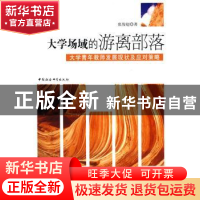 正版 大学场域的游离部落:大学青年教师发展现状及应对策略 张俊