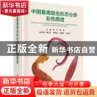 正版 中国畜禽吸虫形态分类彩色图谱 黄兵,董辉主编 科学出版社