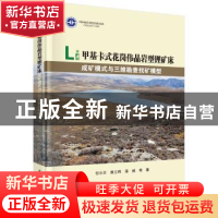 正版 甲基卡式花岗伟晶岩型锂矿床成矿模式与三维勘查找矿模型 付