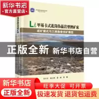 正版 甲基卡式花岗伟晶岩型锂矿床成矿模式与三维勘查找矿模型 付