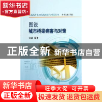 正版 图说城市桥梁病害与对策 宋波编著 中国水利水电出版社 9787
