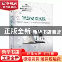 正版 智慧安监实践/智慧城市实践系列丛书 张燕林 人民邮电出版社