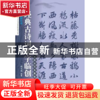 正版 赵孟頫行书 施志伟编著 上海科学技术文献出版 978754397468