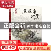 正版 芭蕉寨少年 陶永灿著 湖南少年儿童出版社 9787556212569 书