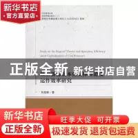正版 煤炭资源资本化支撑理论及运作效率研究 朱亮峰著 中国经济