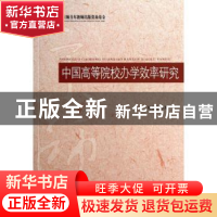 正版 中国高等院校办学效率研究 侯龙龙著 北京师范大学出版社 97