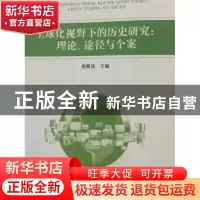 正版 全球化视野下的历史研究:理论、途径与个案 张殿清 河北大学