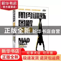 正版 肌肉训练图解1000例 [美]本·马肖特 人民邮电出版社 9787115
