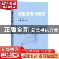 正版 深层排<蓄>水隧道 周质炎,高陆令,孟元龙 上海科学技术出版