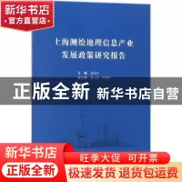 正版 上海测绘地理信息产业发展政策研究报告 陆洁中主编 同济大